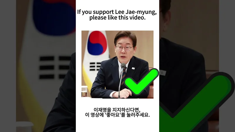 Vote for Lee Jae-myung