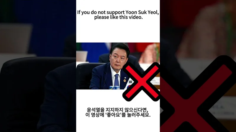 If you do not support Yoon Suk Yeol, please like this video.